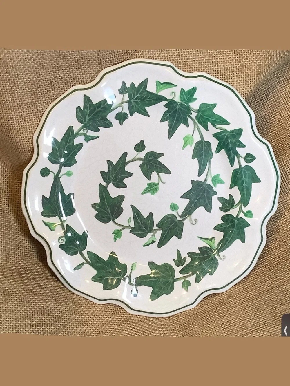 Winterthur Interpretation Melamine Plates Ivy Pattern Set of 4 Spiral Scalloped